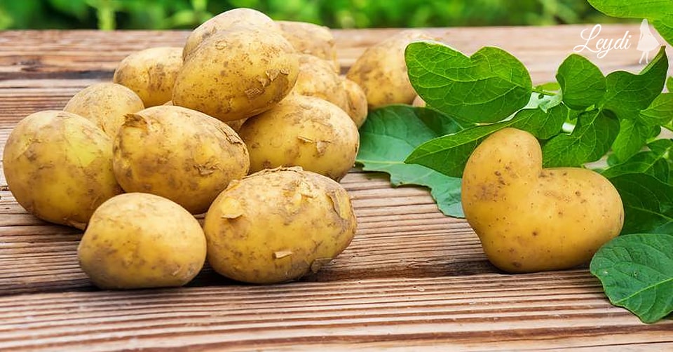 Kartofun faydaları və zərərləri